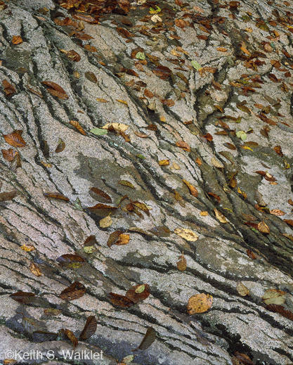 FIne photographic prnt by Keith S. Walklet, at Sun to Moon Gallery