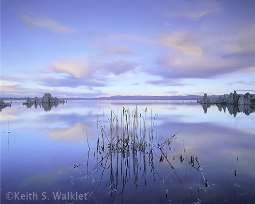 Photograph by Keith S. Walklet at Sun to Moon Gallery
