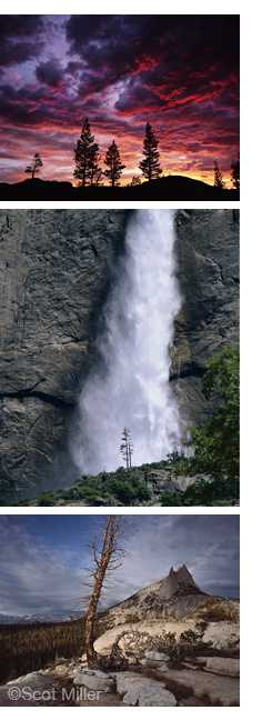 Photographs by Scot Miller from "My First Summer in the Sierra: 100th Anniversary Illustrated Edition"