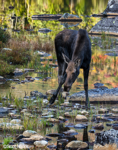 Archival Pigment Print by Scot Miller, at Sun to Moon Gallery 