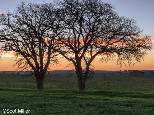 Texas fine photographic print by Scot Miller, at Sun to Moon Gallery, Dallas, Texas 