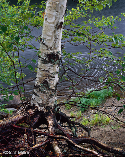 Archival Pigment Print by Scot Miller, at Sun to Moon Gallery 