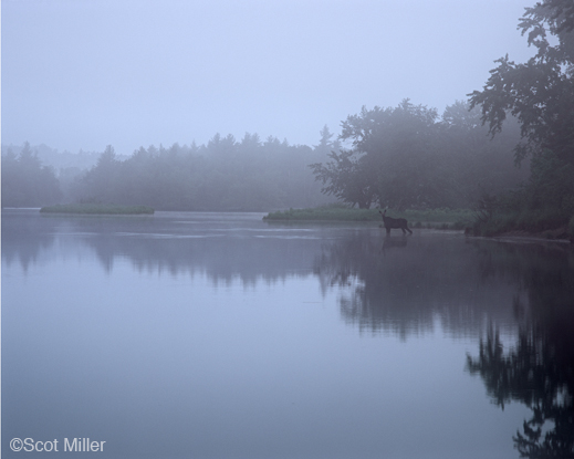 Archival Pigment Print by Scot Miller, at Sun to Moon Gallery 