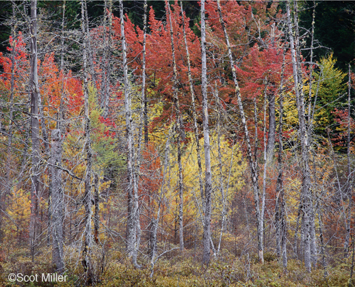 Archival Pigment Print by Scot Miller, at Sun to Moon Gallery 