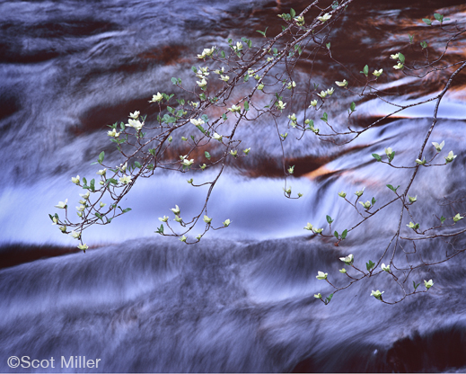 Fine photographic print by Scot Miller, at Sun to Moon Gallery, Dallas, TX