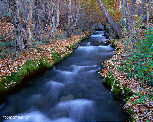 Fine photographic print by Scot Miller, at Sun to Moon Gallery, Dallas, TX 