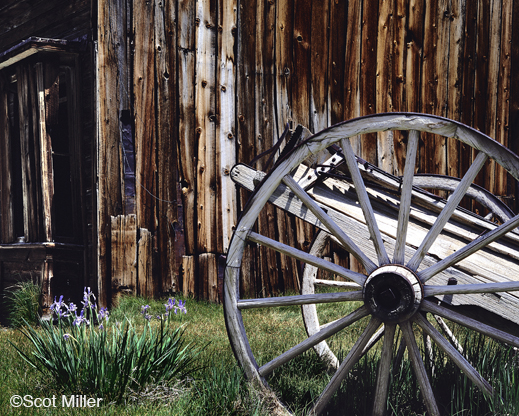Fine photographic print by Scot Miller, at Sun to Moon Gallery, Dallas, TX 
