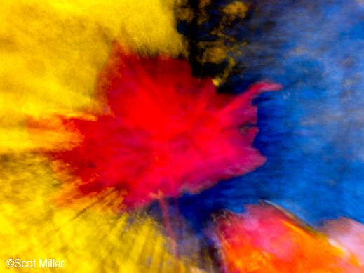 Fine Photographic Print By Scot Miller, available at Sun to Moon Gallery