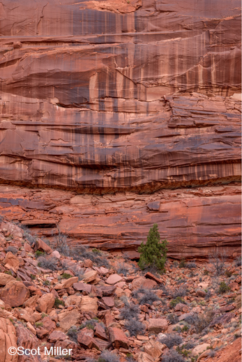 Fine photographic prints by Scot Miller are available at Sun to Moon Gallery, Dallas, TX
