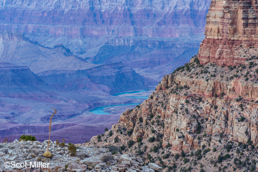 Fine photographic prints by Scot Miller are available at Sun to Moon Gallery, Dallas, TX
