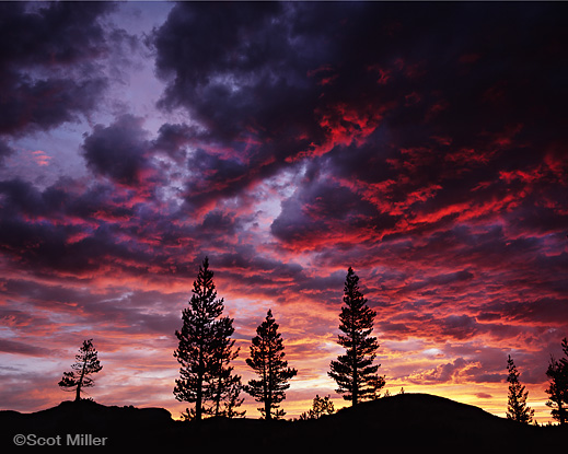 Sierra Nevada photograph ©Scot Miller