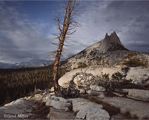 Sierra Nevada photograph ©Scot Miller