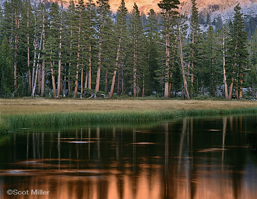 Sierra Nevada photograph ©Scot Miller