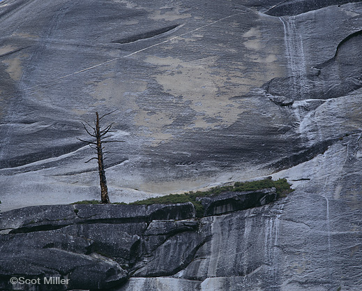 Sierra Nevada photograph ©Scot Miller