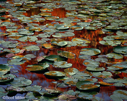 Archival Pigment Print by Scot Miller, at Sun to Moon Gallery 