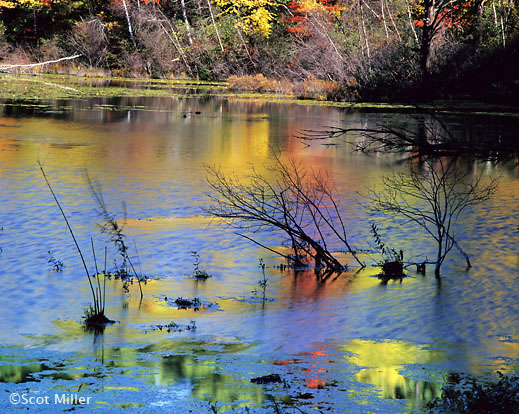 alden Fine photographic print by Scot Miller at Sun to Moon Gallery, Dallas, TX