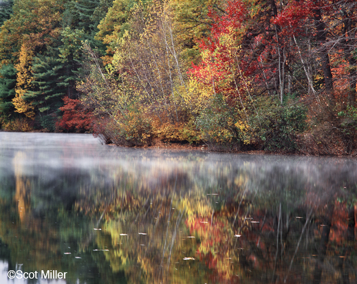 Walden Fine photographic print by Scot Miller at Sun to Moon Gallery, Dallas, TX