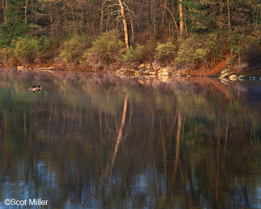 Fine photographic print from Walden by Scot Miller, at Sun to Moon Gallery, Dallas, TX