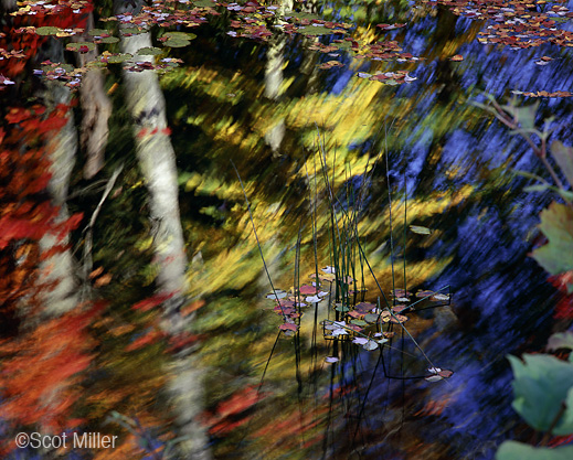 Archival Pigment Print by Scot Miller, at Sun to Moon Gallery 